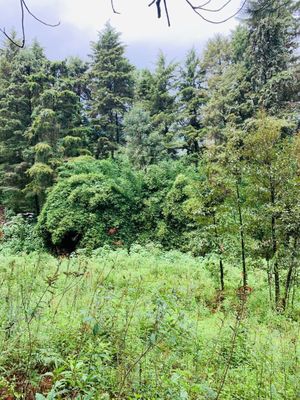 En venta terreno en Peña Blanca Valle de Bravo.