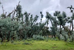 Terreno en venta en SAN BARTOLO, AMANALCO