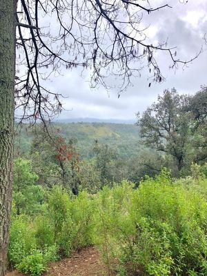 Terreno campestre en SAN BARTOLO, AMANALCO