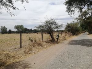 excelente terreno rumbo a las cuatas en camino huertas productivas