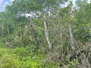 Venta Terreno en Cabo corrientes, El tuito Jalisco