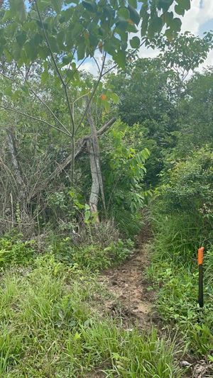 Venta Terreno en Cabo corrientes, El tuito Jalisco