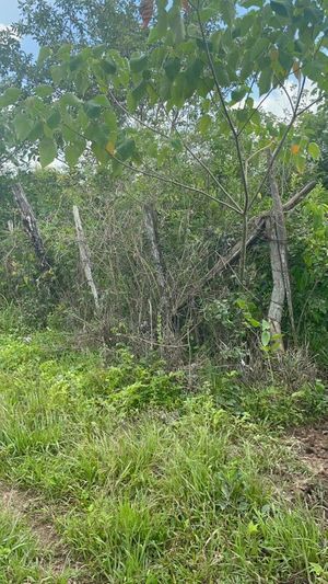 Venta Terreno en Cabo corrientes, El tuito Jalisco