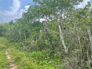 Venta Terreno en Cabo corrientes, El tuito Jalisco