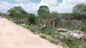 TERRENO DE OPORTUNIDAD EN SAN ANTONIO HOOL