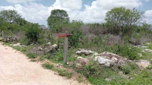 TERRENO DE OPORTUNIDAD EN SAN ANTONIO HOOL