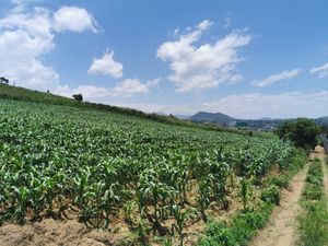 Hermoso terreno  cerca de Cuautla, un costado del Club Asturiano Campestre