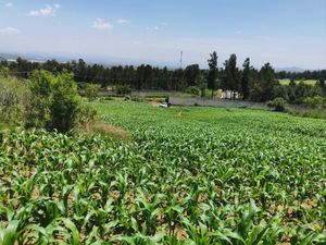 Excelente terreno cerca de Cuautla, al lado del Club Asturiano Campestre