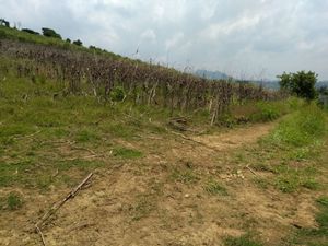 Excelente terreno cerca de Cuautla, al lado del Club Asturiano Campestre