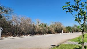 TERRENO EN JARDINES DE REJOYADA 2