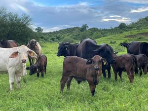 Rancho en Tuxpan, Veracruz