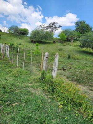 Rancho en Tuxpan, Veracruz