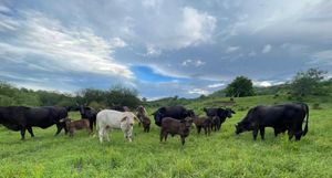 Rancho en Tuxpan, Veracruz