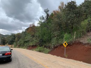 Oportunidad de Inversión - Terreno de 2482 m2 en zona boscosa para cabañas