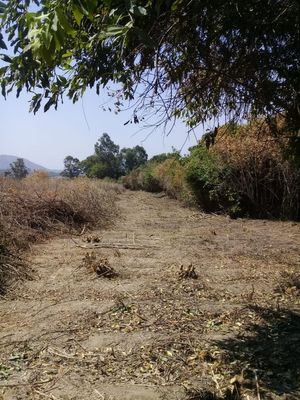 Terreno en Venta, Cuautla Morelos