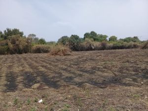 Terreno en Venta, Cuautla Morelos