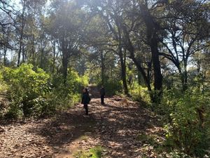 TERRENO EN VENTA, LOS PINOS TLALNEPANTLA, MORELOS