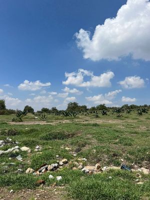 TERRENO EN VENTA, ZAPOTLÁN DE JUÁREZ, HIDALGO