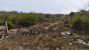 Terreno en Venta , Tecuala