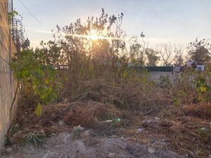 TERRENO EN VENTA EN LAGO DE GUADALUPE