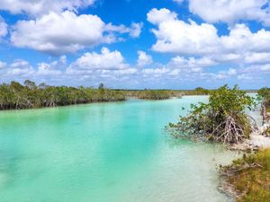 Estero de Chac