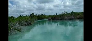 7400 MTs con 17 de frente de laguna, Estero de Chac, Laguna Bacalar