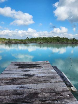 Terreno desarrollado 2500 MTs 20 de frente de Laguna Bacalar