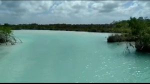 14000 MTs con 24 de frente de laguna en estero de Chac, Bacalar