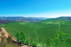 Rancho EL Paraiso | KM 41.5 Carretera Libre a Ensenada