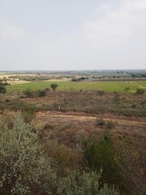 Terreno en Palmitos cadereyta