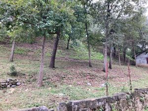 Terreno campestre con pozo de agua