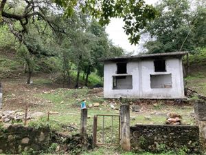 Terreno campestre con pozo de agua