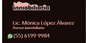 Vive inmobiliaria