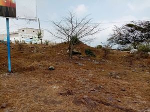 SE VENDE TERRENO EN ALTO LUCERO, IDEAL PARA INVERSIONISTAS 1000M