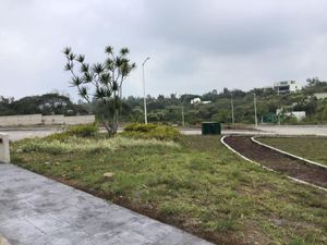 CASA UBICADA EN FRACC. LA MOLIENDA, ZONA SUR, UN NIVEL