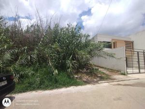 TERRENO PLANO, DOBLE FRENTE, MUY CERCA DE PLAZA ANIMAS Y DE TORRE ANIMAS