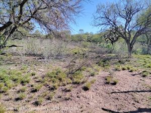 VENTA DE HECTAREAS EN EL CONEJAL