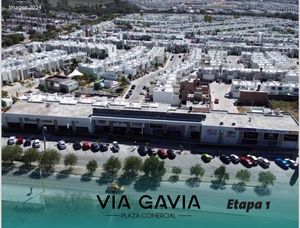 RENTA DE LOCALES AL SUR EN PLAZA VIA GAVIA