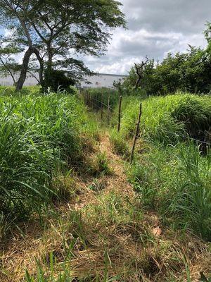 terreno en venta orilla de carretera en paso del toro