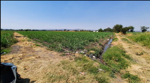 TERRENO EN VENTA EN CUAUTLA, MORELOS