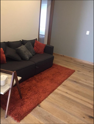 DEPARTAMENTO EN HOMERO, POLANCO