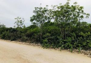 Venta  Terreno en Isla Blanca,  Isla Mujeres,  Q. Roo. Lote 22