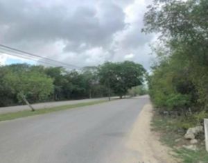 Venta Terreno en La Ceiba II