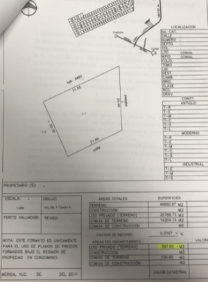 Terreno sobre carretera Conkal-Chicxulub Puerto, en venta o renta