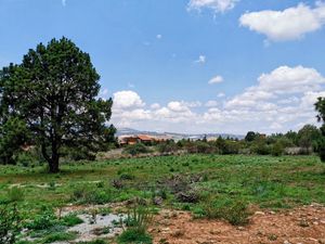 TERRENO CAMPESTRE EN VENTA EN PINARES, TAPALPA