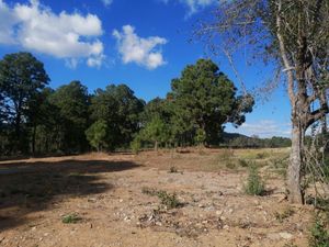 TERRENO CAMPESTRE EN PREVENTA EN TAPALPA