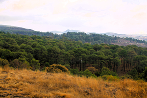 TERRENO CON LA MEJOR UBICACIÓN EN TERREROS, TAPALPA