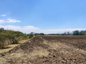 3HA TERRENO EN VENTA EN  TLAJOMULCO