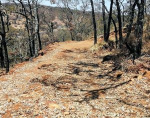 NATURA YOLOSTA TERRENO HABITACIONAL EN VENTA