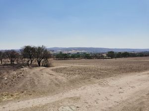 TERRENO EN VENTA SOBRE CARRETERA MATATLÁN - ZAPOTLANEJO